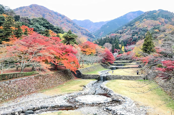 養老公園
